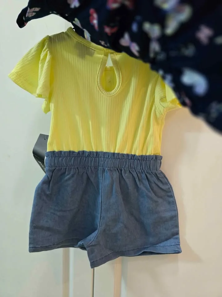 BNWT 2 baby dresses 2t image indicator(4)