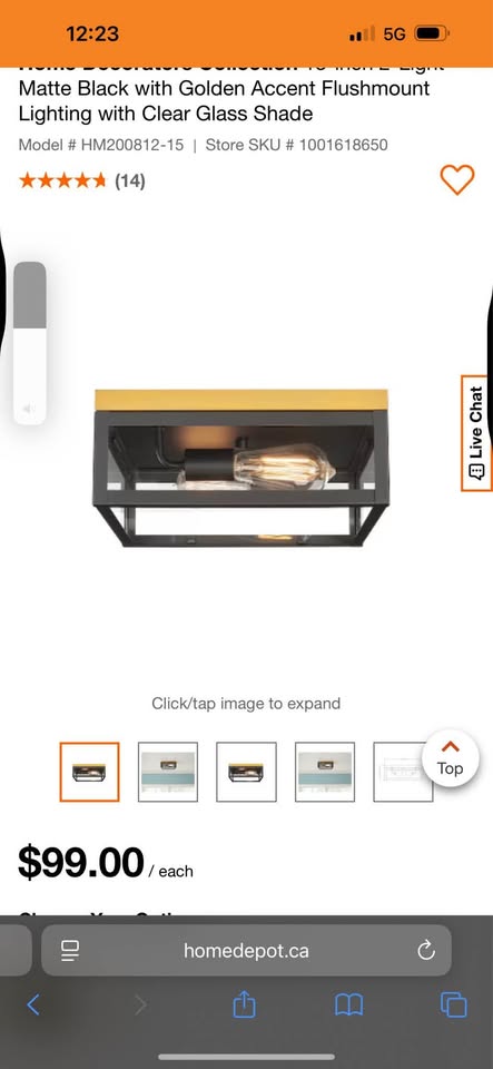 paid $1300 Brand new in box light fixtures indoor/outdoor Steal - photo 3