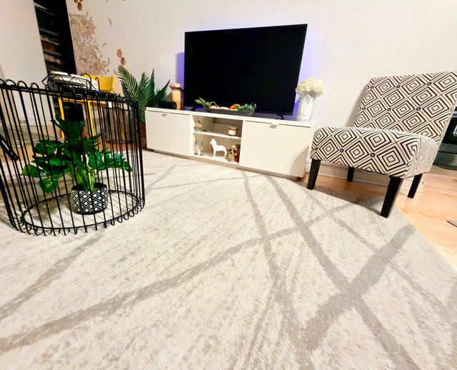 Wayfair Gray Carpet (160×230 cm)