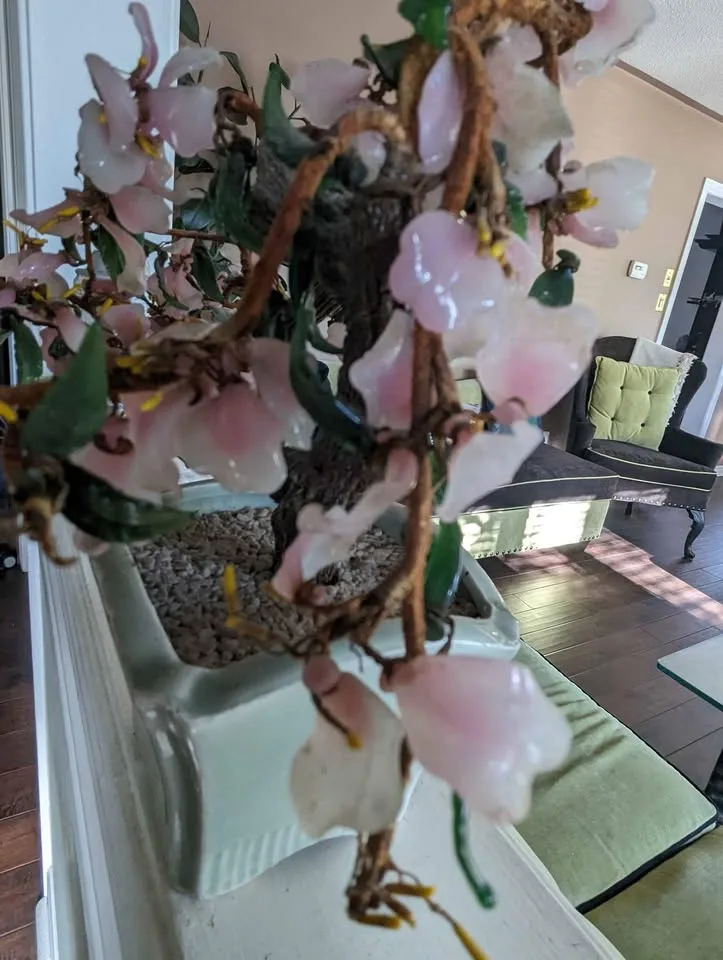 Glass bonsai image indicator(2)