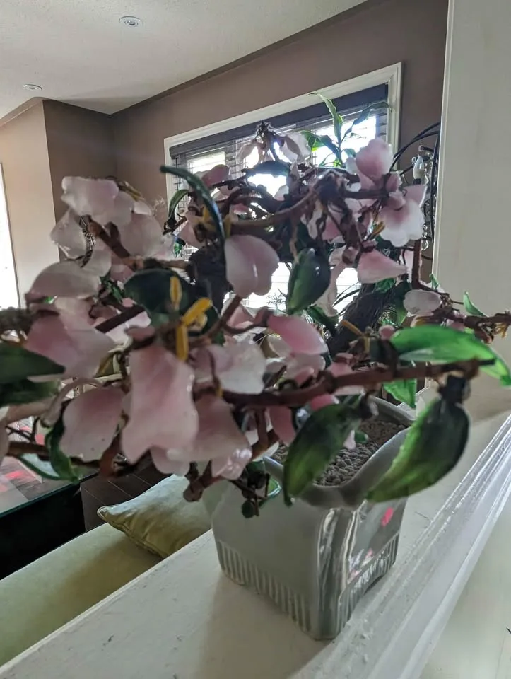 Glass bonsai image indicator(3)