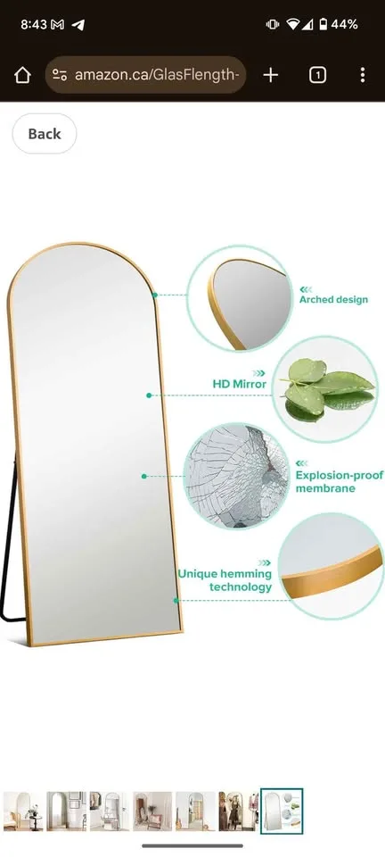 Arched Gold Mirror Full Length image indicator(5)