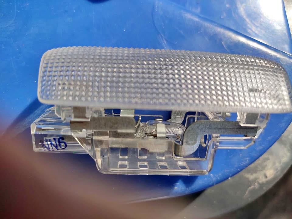 Lexus Rx door lights