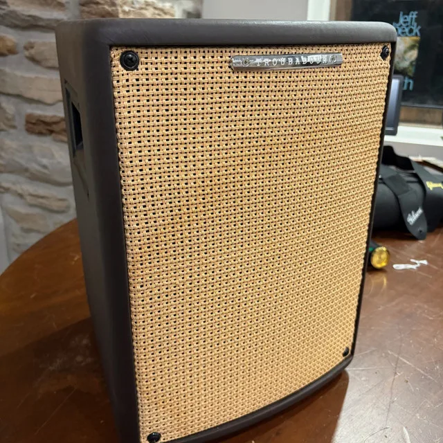 Ibanez T80IISM-N 80-Watt Acoustic Guitar Combo! image indicator(2)