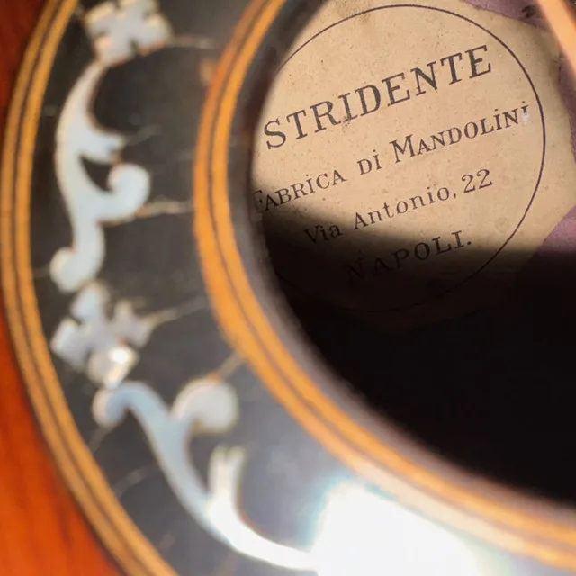 Gorgeous Stridente Mandolin from the 1900s - Italy! image indicator(2)