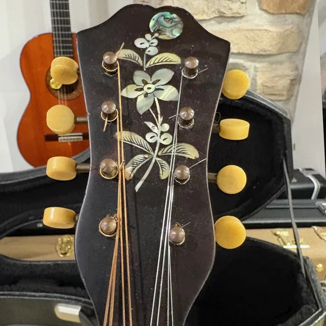 Gorgeous Stridente Mandolin from the 1900s - Italy! image indicator(4)
