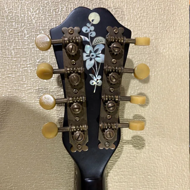 Gorgeous Stridente Mandolin from the 1900s - Italy! image indicator(5)