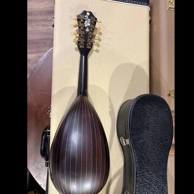Gorgeous Stridente Mandolin from the 1900s - Italy! image indicator(8)