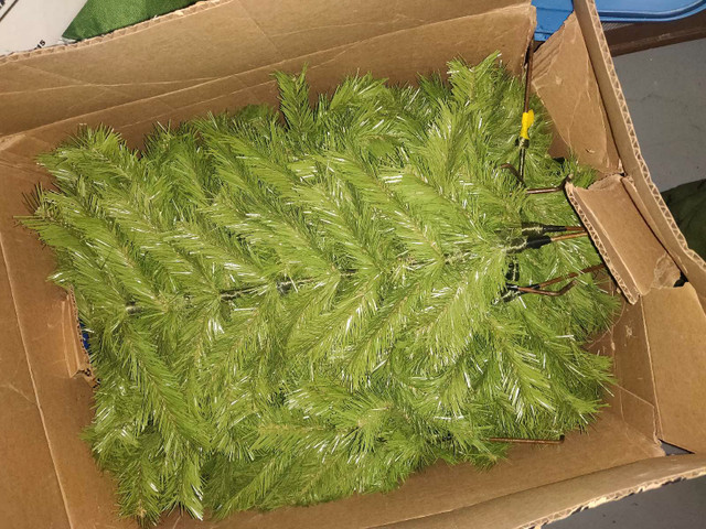 Free Large Christmas Tree
