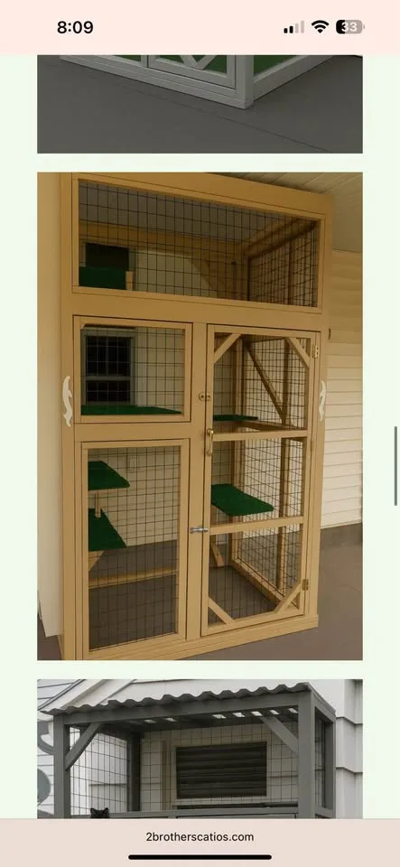 $5500 - Luxury Cat Window Boxes 🐱 image indicator(6)