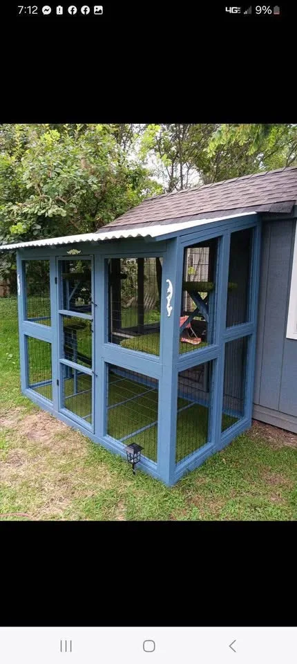 Catios & Cat Houses 🏠🐱 Custom! image indicator(4)