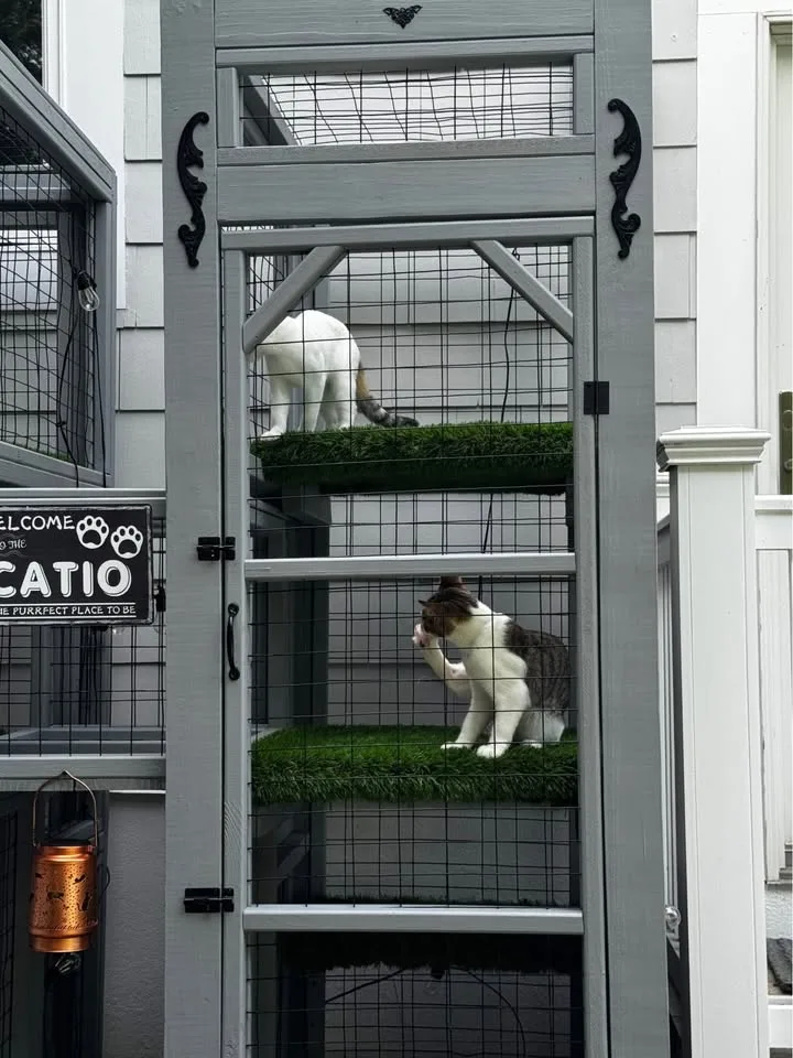 Catios & Cat Houses 🏠🐱 Custom! image indicator(6)