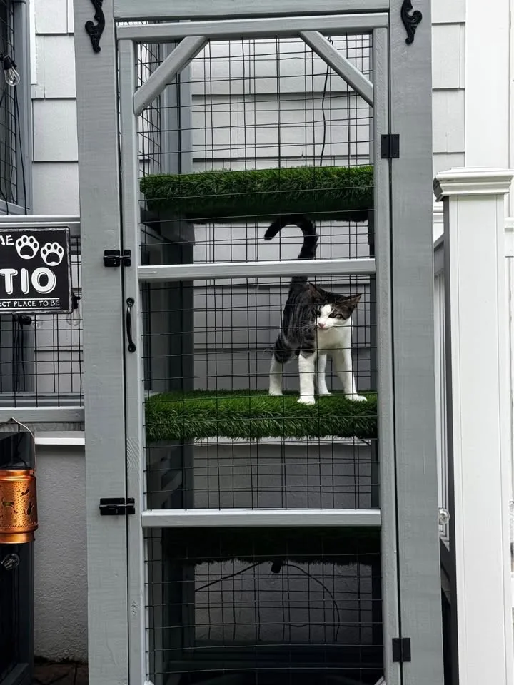 $4,500 – Cat Tower - As Seen in Newsday 📰 image indicator(4)