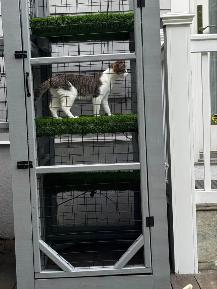 $4,500 – Cat Tower - As Seen in Newsday 📰 image indicator(6)