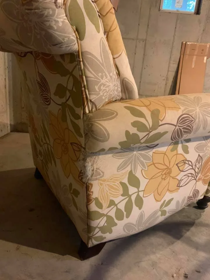 Cozy sofa or sunroom chair image indicator(4)