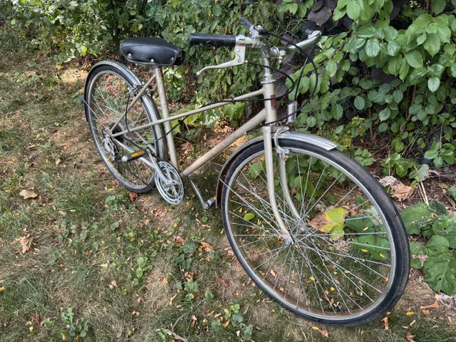 Vintage ladies 5 speed cruiser commuter bike - 5’-5’6” - image indicator(2)