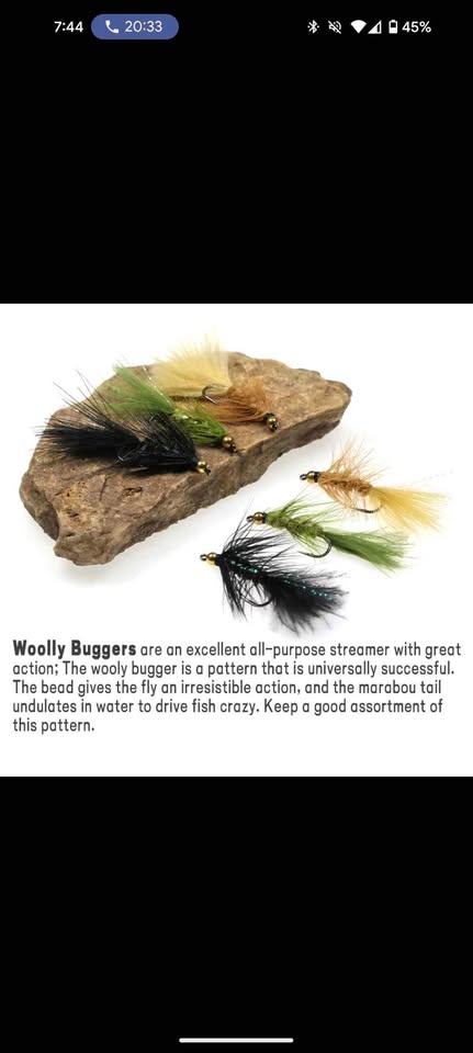 RiverRunfishingco's wooly bugger 12 per pack - photo 2