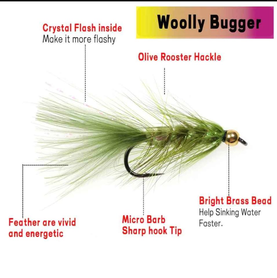RiverRunfishingco's wooly bugger 12 per pack - photo 4