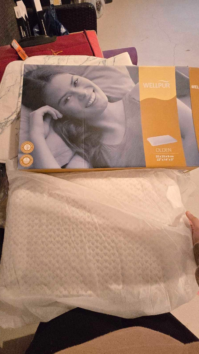 Wellpur Olden Pillow