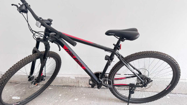 Raleigh Trailblazer