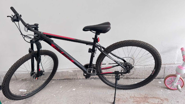Raleigh Trailblazer - photo 3
