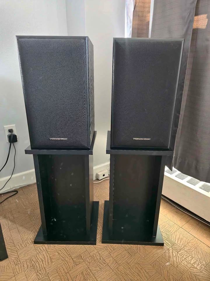 Vintage Cerwin-Vega E-208 Speakers – DIY Restoration Project