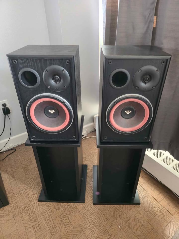 Vintage Cerwin-Vega E-208 Speakers – DIY Restoration Project - photo 2