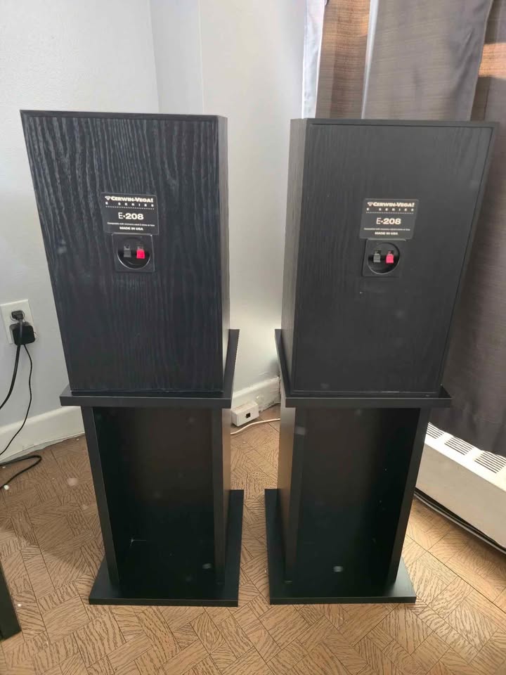 Vintage Cerwin-Vega E-208 Speakers – DIY Restoration Project - photo 3