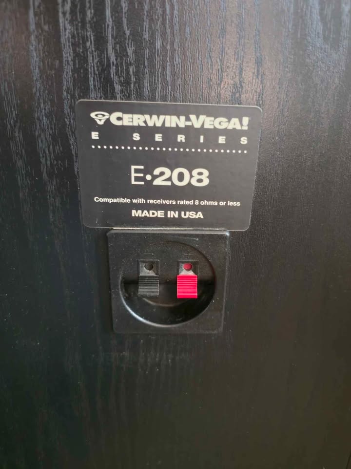 Vintage Cerwin-Vega E-208 Speakers – DIY Restoration Project - photo 4