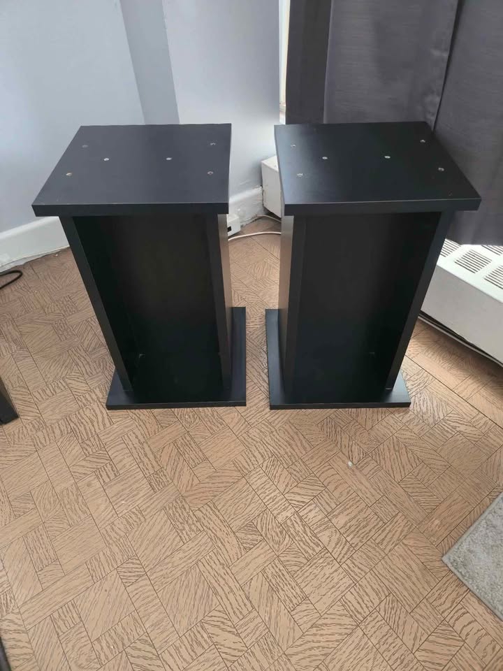 Vintage Cerwin-Vega E-208 Speakers – DIY Restoration Project - photo 5