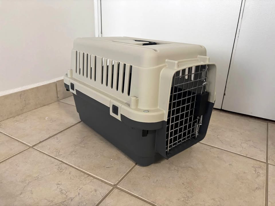 Cat or Small Dog Carrier