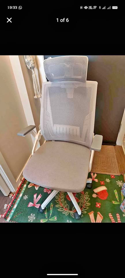 Ergonomic Desk Chair