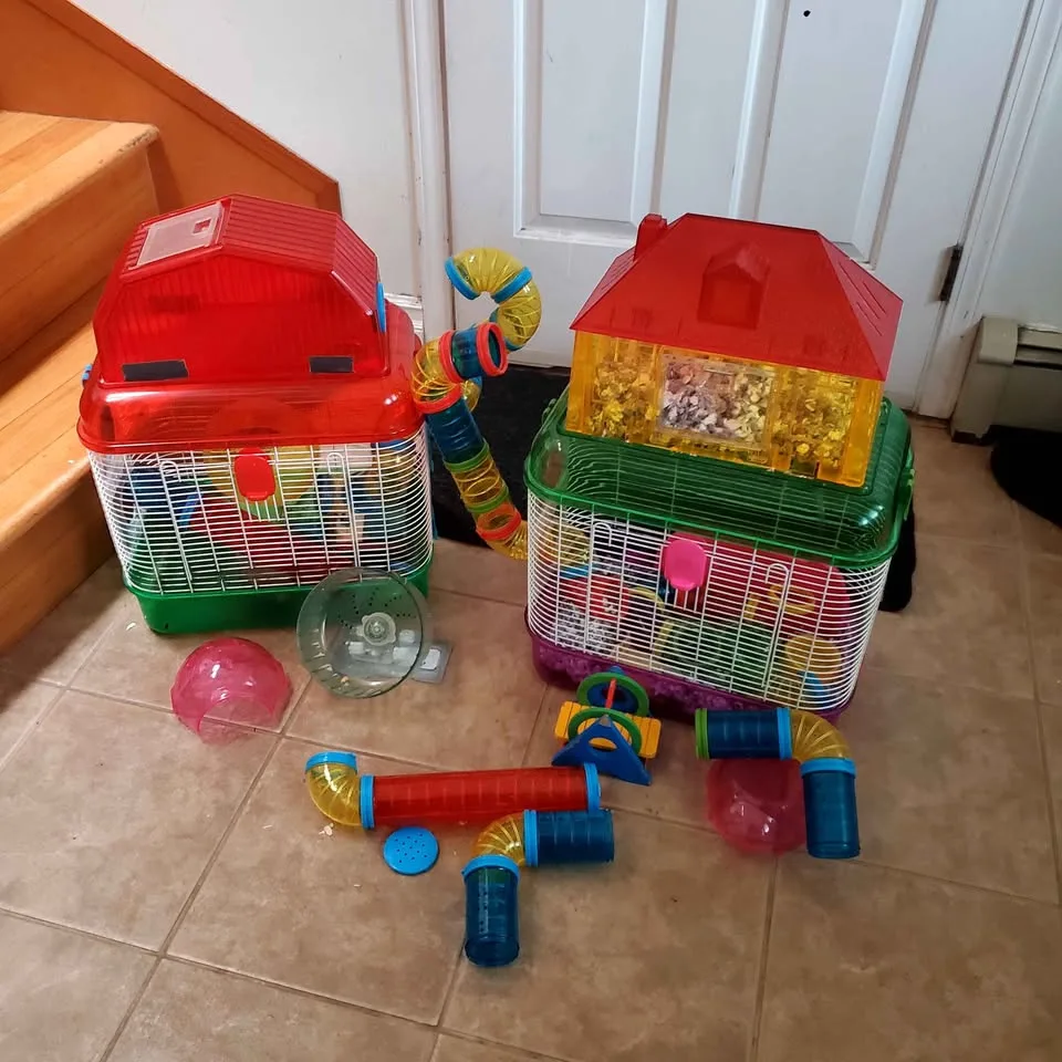 Hamster cages image indicator(2)