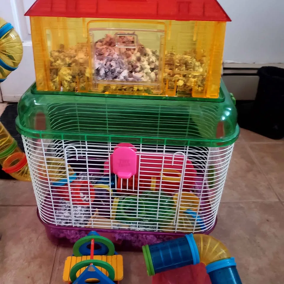 Hamster cages image indicator(3)