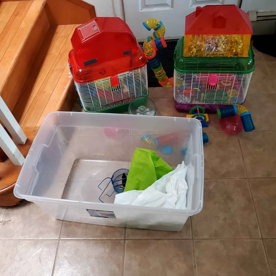 Hamster cages image indicator(6)