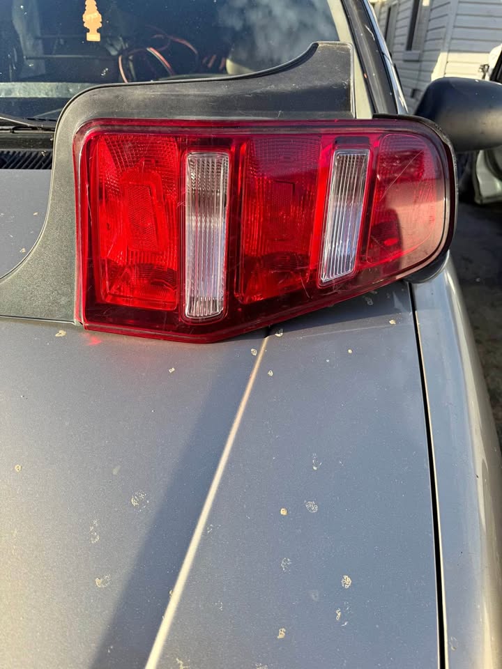 Mustang taillight