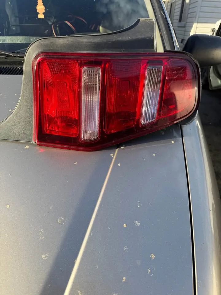 Mustang taillight image indicator(2)