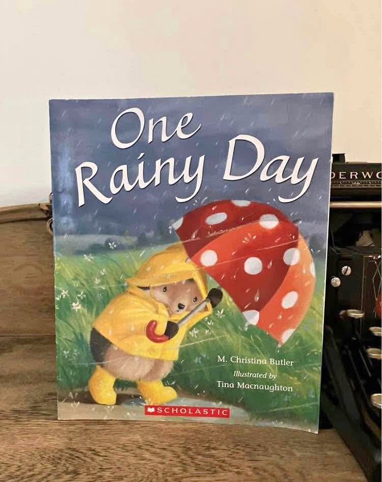 One Rainy Day By Macnaughton Tina