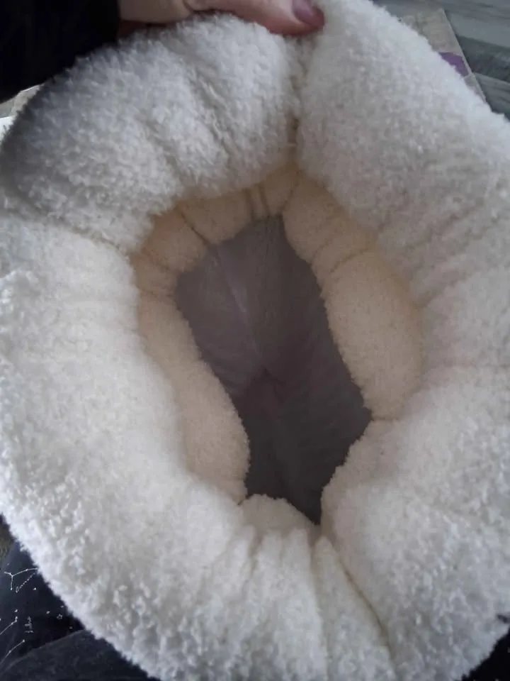 Pet bed image indicator(3)