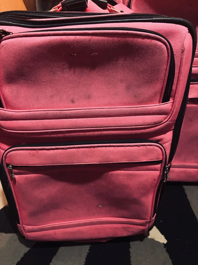 Set of 2 pink rolling luggage -$75 image indicator(2)