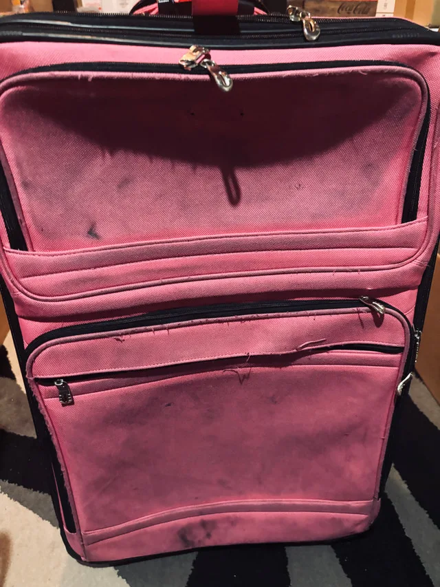 Set of 2 pink rolling luggage -$75 image indicator(3)