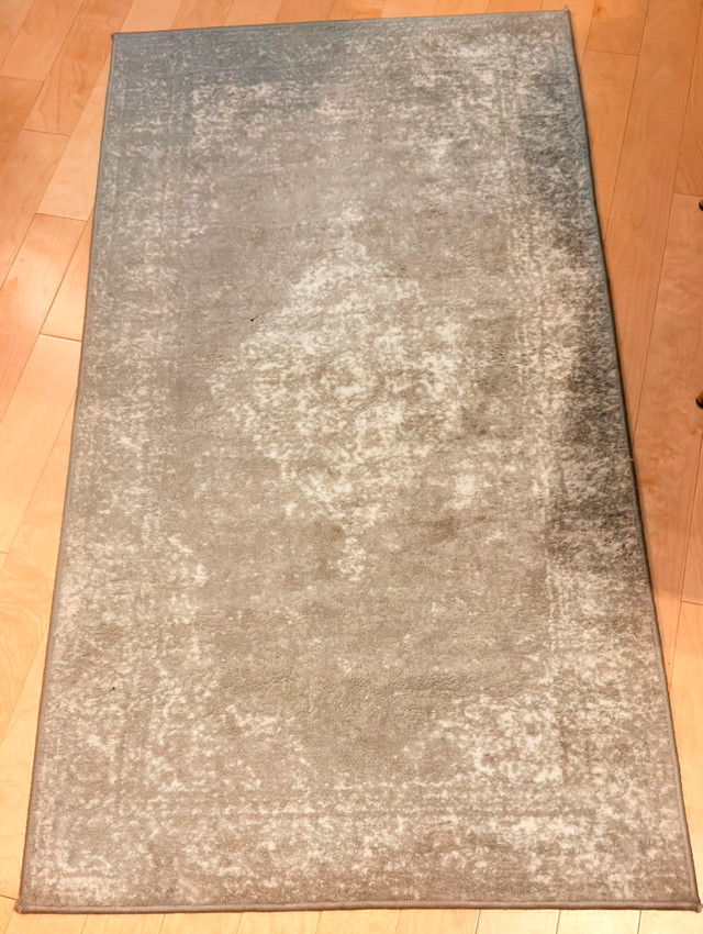 Accent Rug - Wayfair (80x150cm)