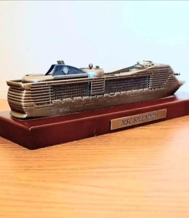 MSC Spledida Liner Replica image indicator(3)
