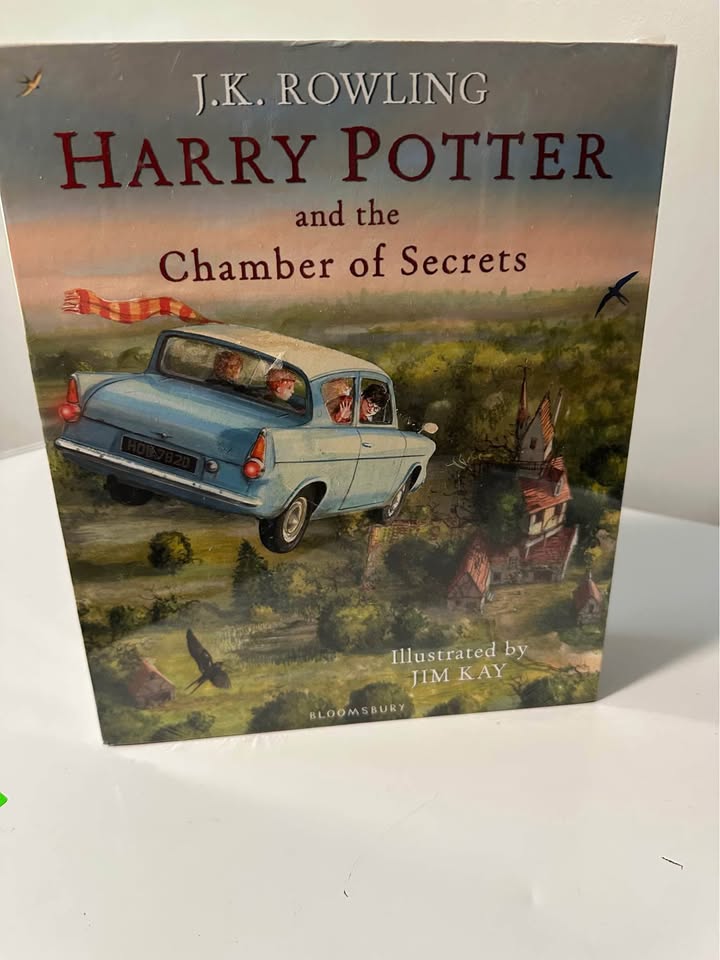new harry potter illustration book 1&2- jane and shep - photo 3