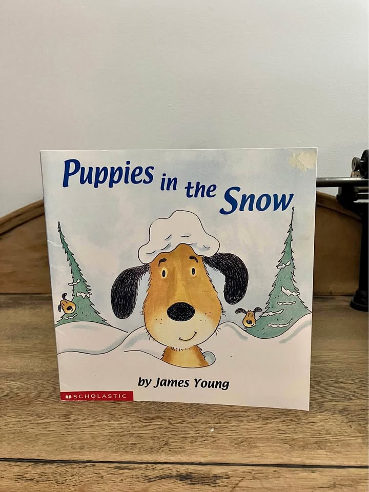 Puppies in the Snow