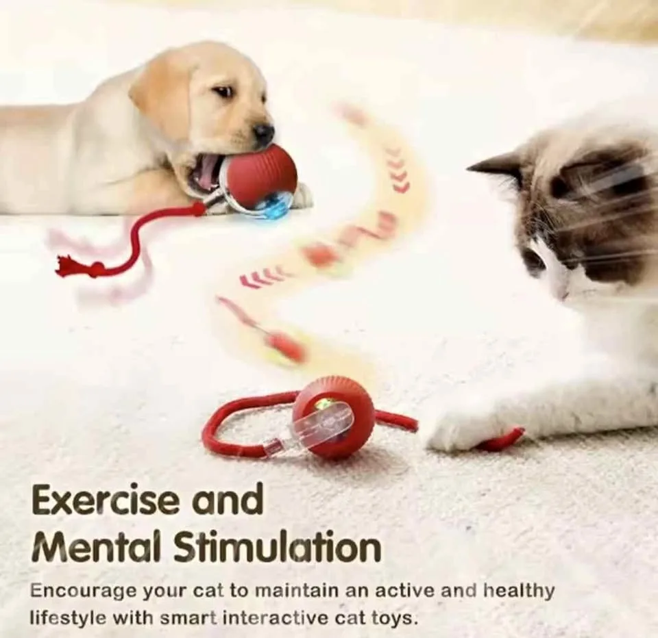 Smart Cat Toys With USB charging(Free Delivery)