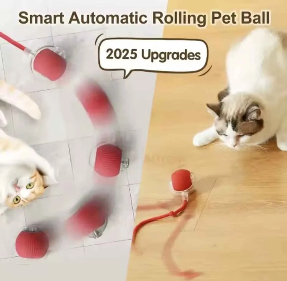 Smart Cat Toys With USB charging(Free Delivery) image indicator(3)