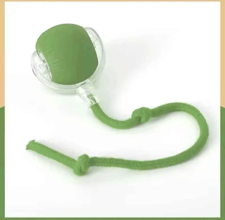 Smart Cat Toys With USB charging(Free Delivery) image indicator(5)