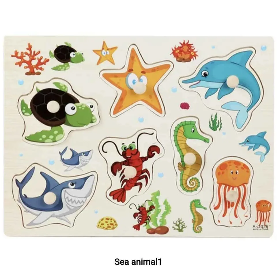 Montessori Wooden Puzzle image indicator(4)