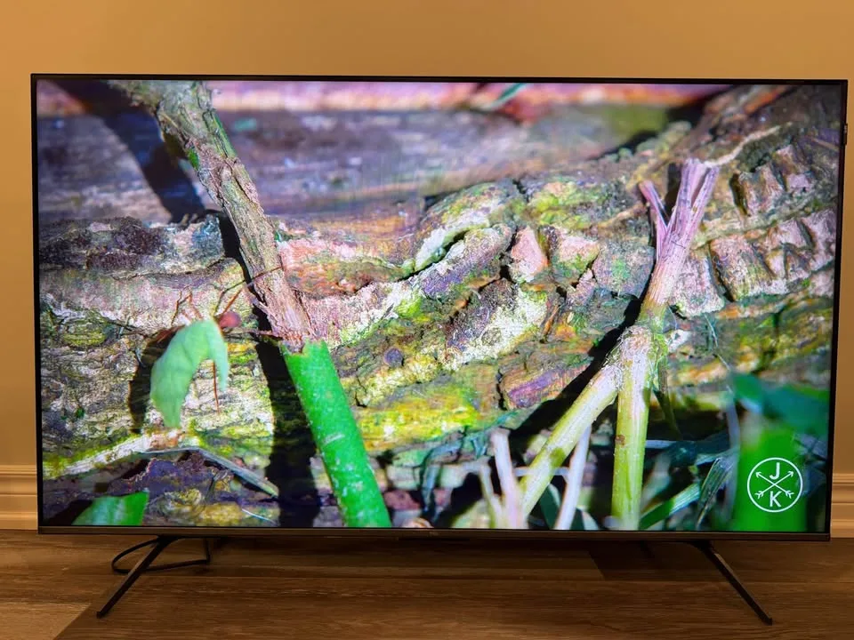 TCL 55” 4K QLED SMART GOOGLE TV image indicator(2)